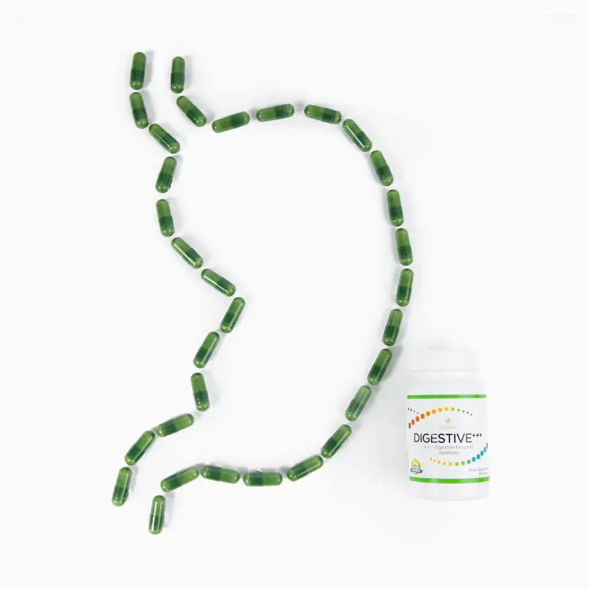 Digestive+++ LifePharm