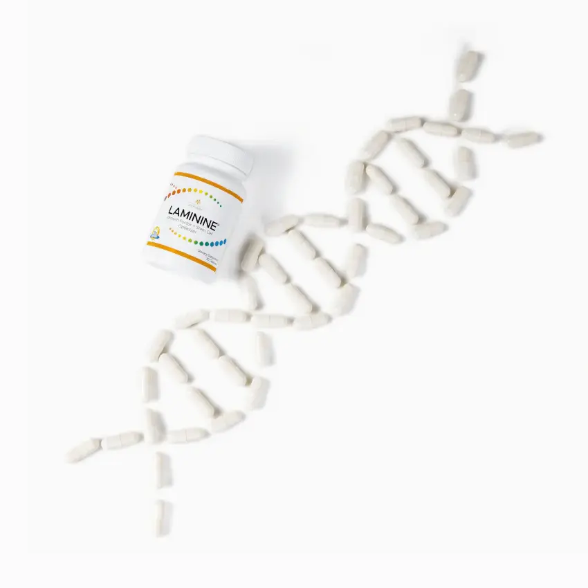 Laminine LifePharm