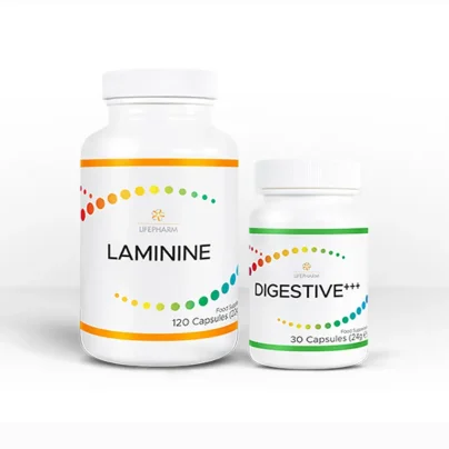 Digestive+++ FOUNDATION